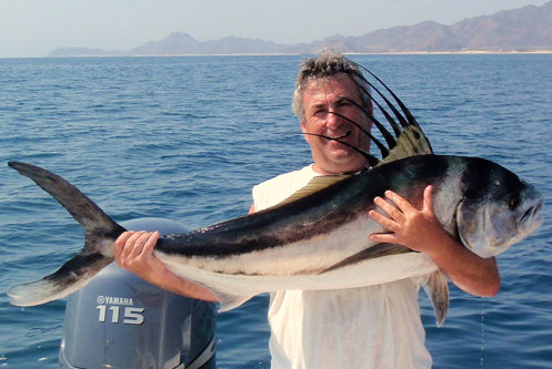 Roosterfish East Cape